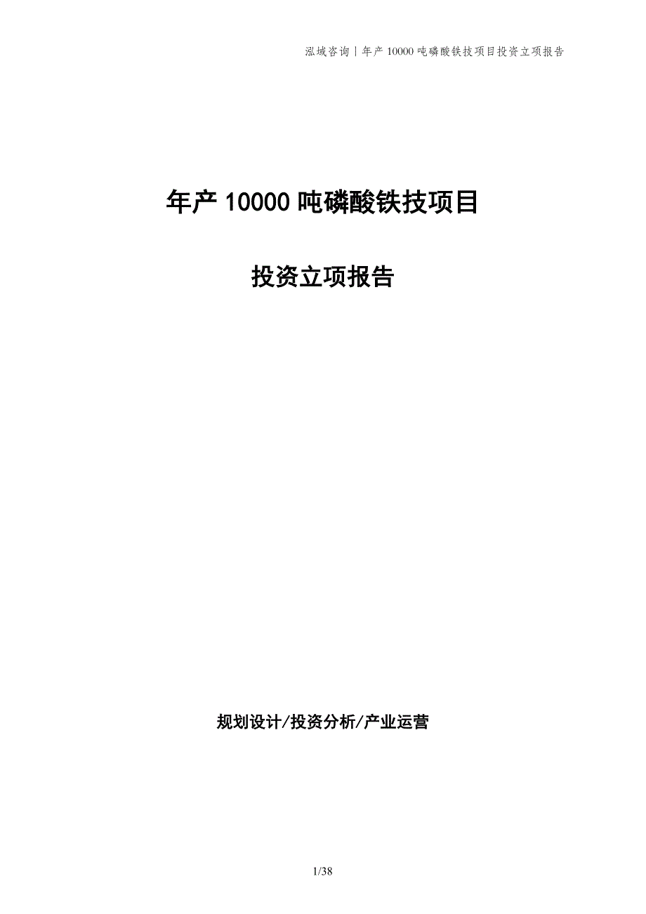 年产10000吨磷酸铁技项目投资立项报告_第1页