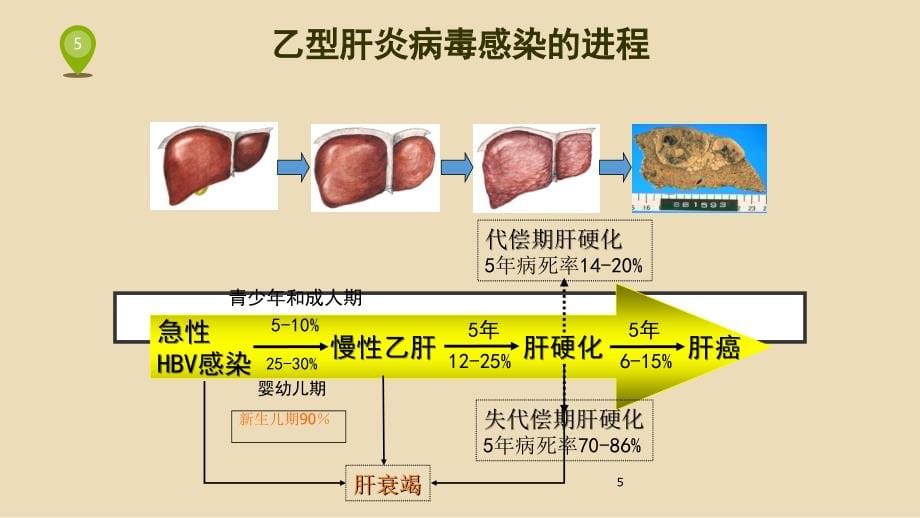 课件：慢乙肝患者如何合理使用抗病毒药物_第5页