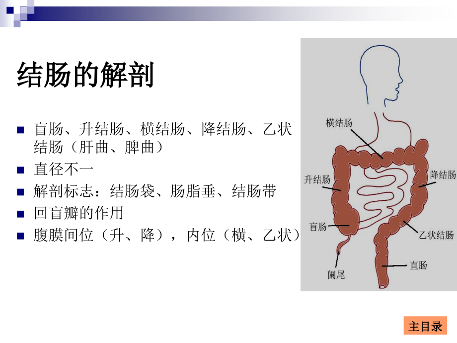 课件：结直肠肛管疾病--外科学_第4页
