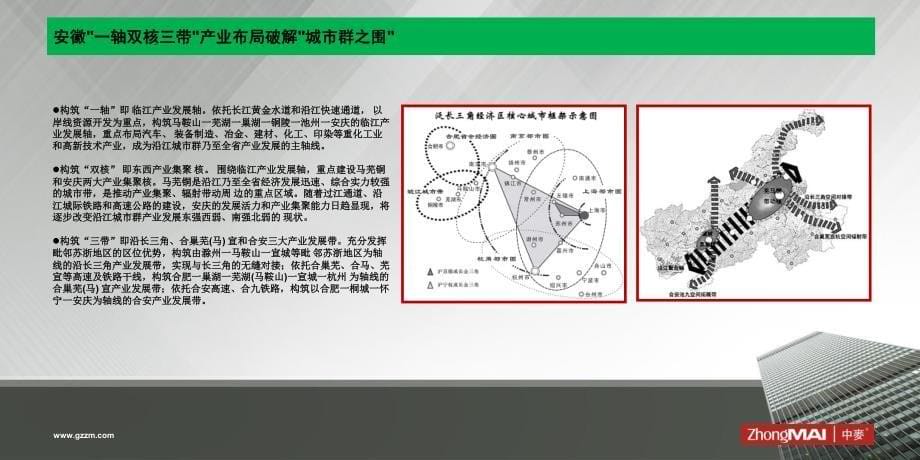 中国(芜湖)生命健康城一二期项目开发初步概念沟通方案_第5页