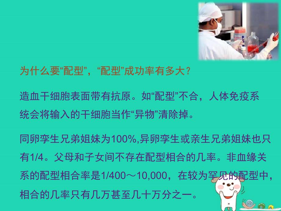 七年级生物下册4.4.1流动的组织__血液点燃生命的希望_造血干细胞的捐献素材新版新人教版_第3页