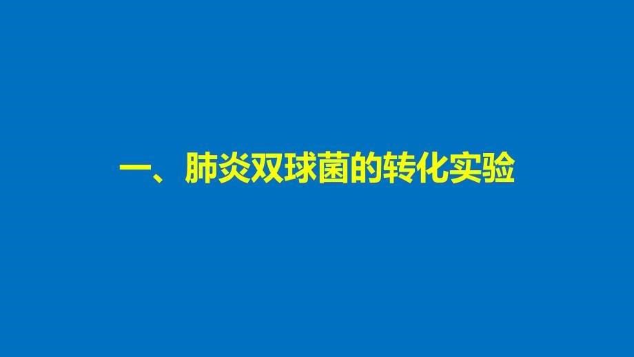 高中生物 第三章 基因的本质 第1节 dna是主要的遗传物质课件 新人教版必修2_第5页