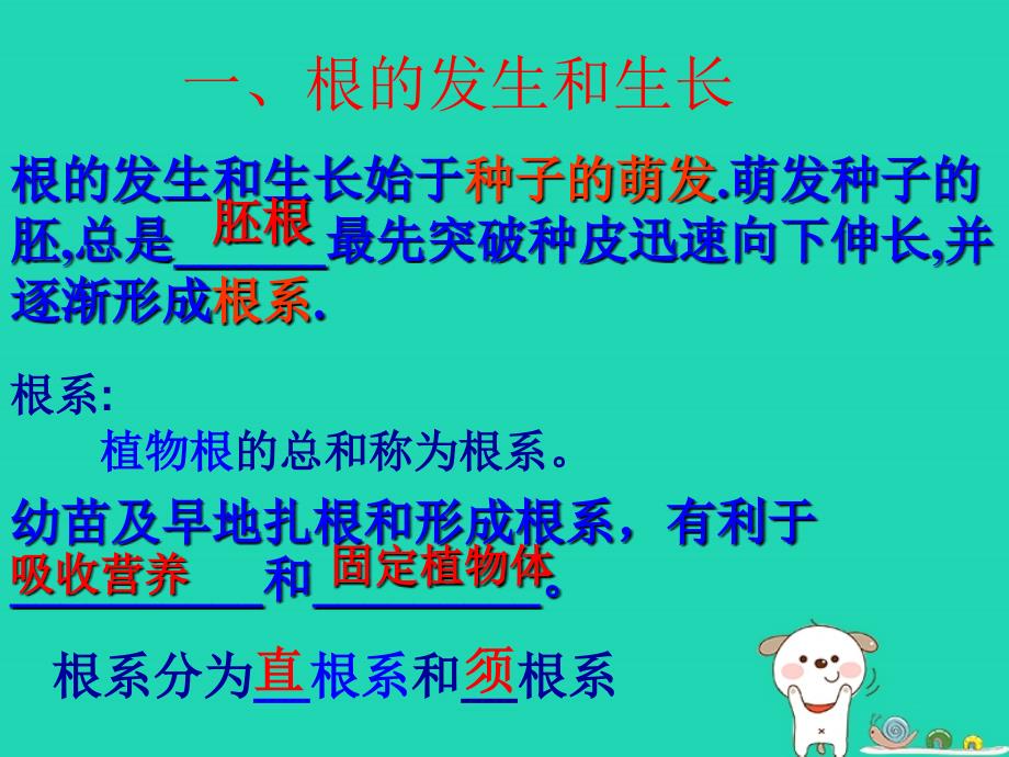 七年级生物上册3.6.2营养器官的生长课件2新版北师大版_第3页