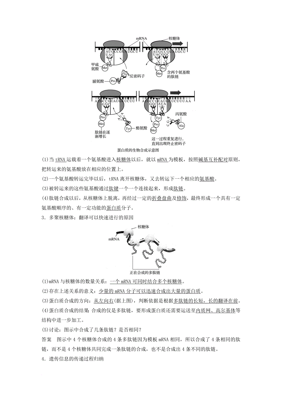 高中生物 第3章 遗传信息的复制与表达 第10课时 遗传信息的表达(ⅱ)教学案 北师大版必修2_第4页