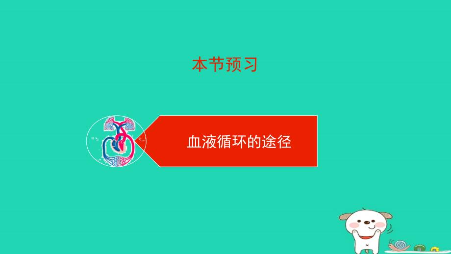 七年级生物下册4.4.3输送血液的泵__心脏第二课时预习课件新版新人教版_第3页