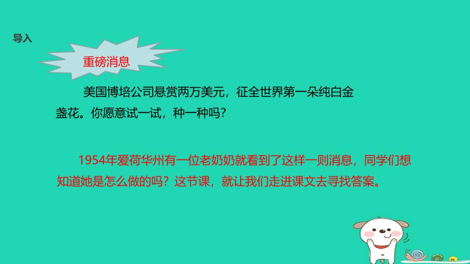 三年级语文上册第七单元21金盏花的种子教学课件鄂教版_第3页