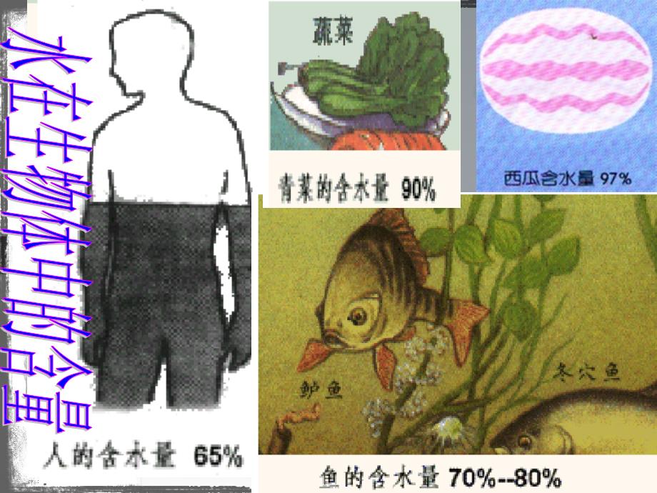 科教版九年级化学上册第四章第三节探究水的组成_第4页