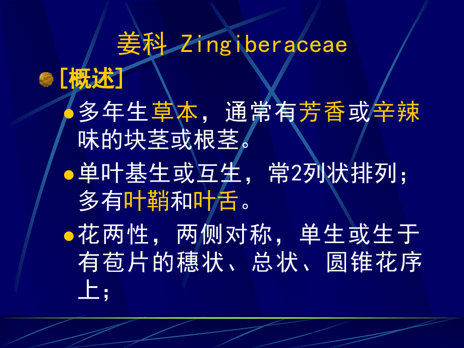 syx21-1党科_第1页