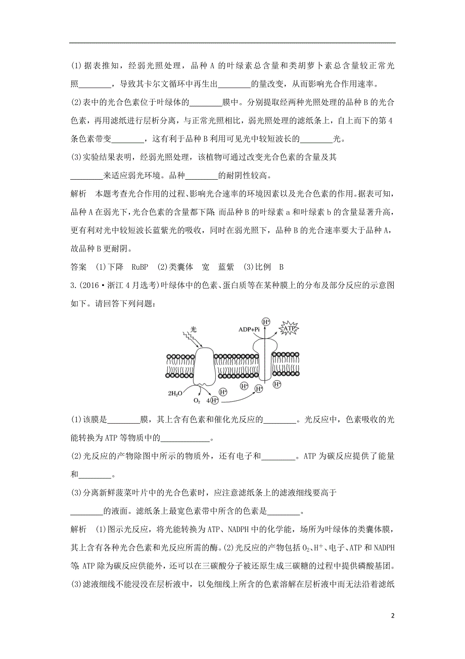 2019版高考生物总复习 第一部分 非选择题必考五大专题 专题一 细胞的代谢 第4讲 光合色素及光合作用过程学案_第2页