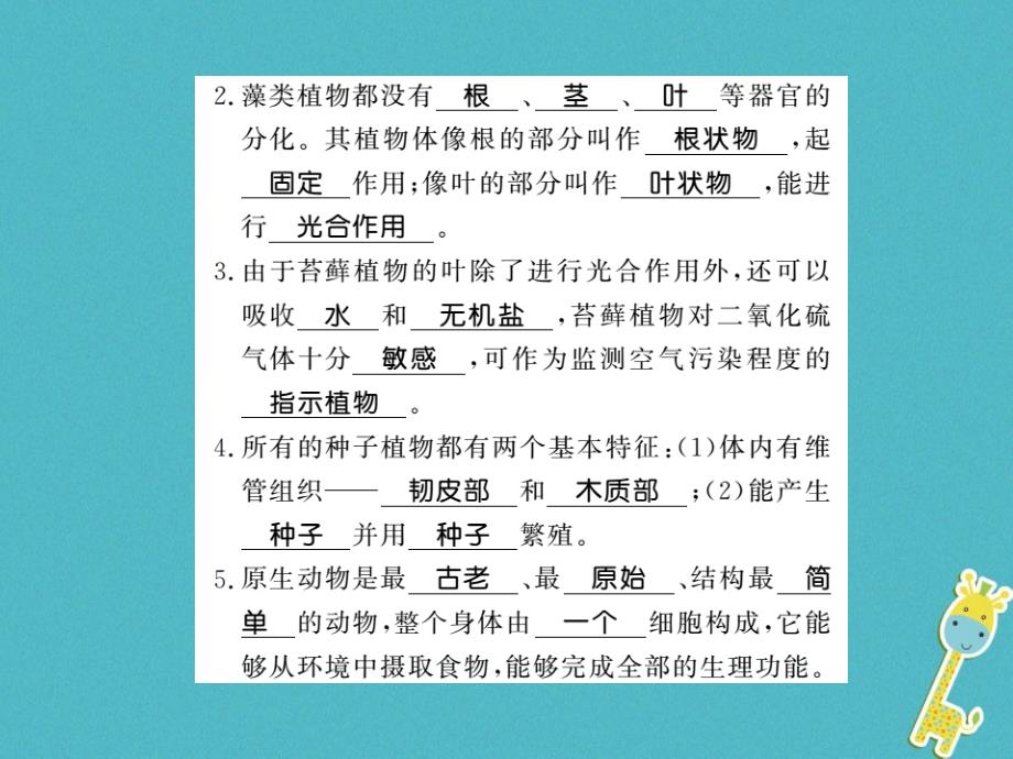 八年级生物下册 22 物种的多样性整理与复习课件 （新版）北师大版_第4页