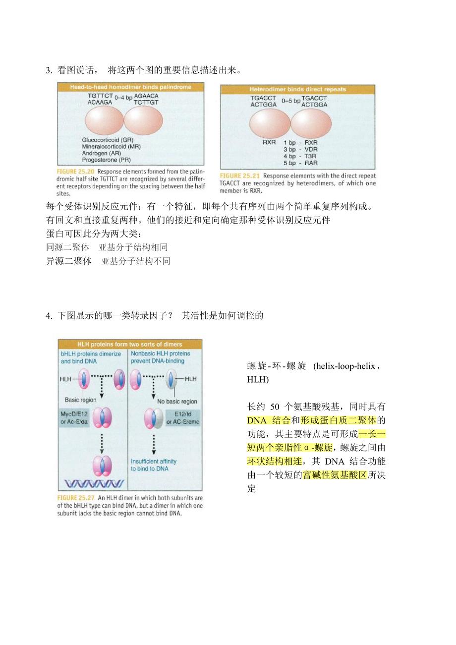 分子生物学homework_第2页