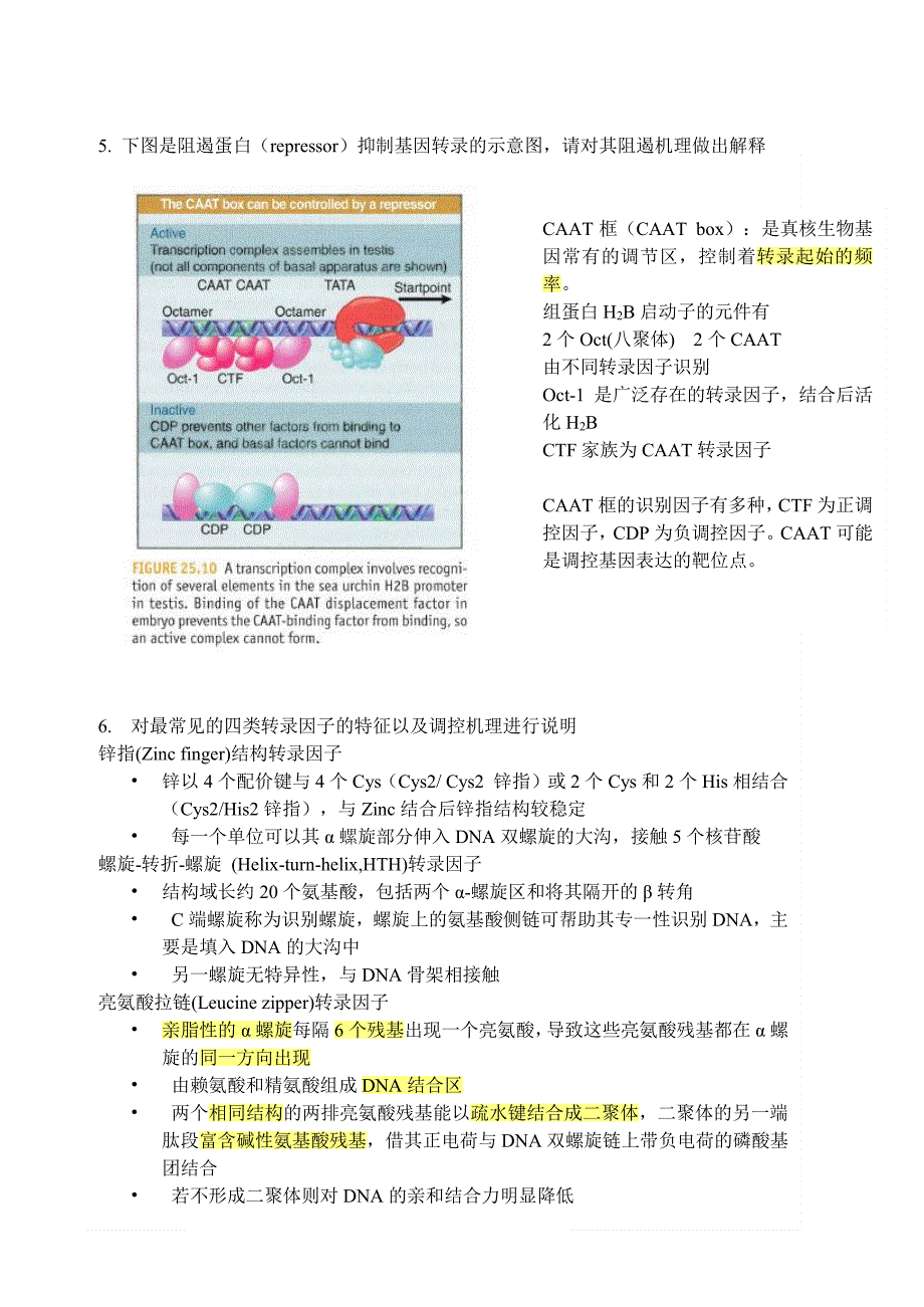 分子生物学homework_第3页