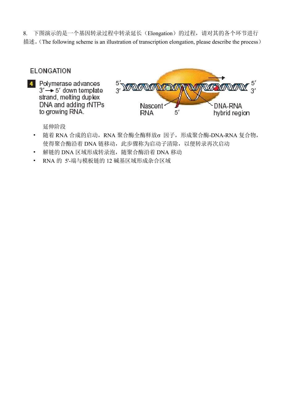 分子生物学homework_第5页