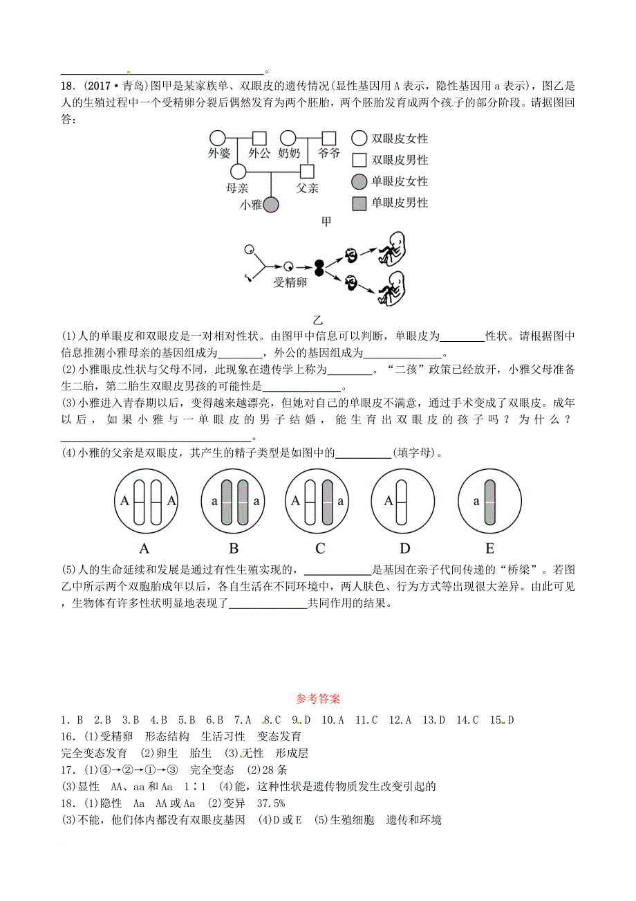 中考生物总复习 专题十 生物的生殖、发育与遗传专题演练_第4页