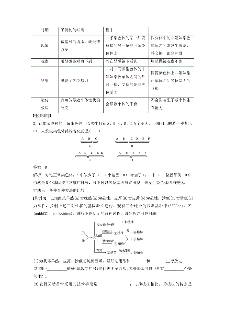 高中生物 第5章 遗传信息的改变章末整合教学案 北师大版必修2_第4页