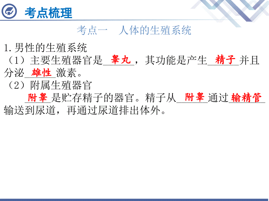 2018年中考生物（广东专版）总复习课件第15章  人的生殖和发育_第2页