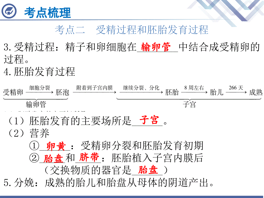 2018年中考生物（广东专版）总复习课件第15章  人的生殖和发育_第4页