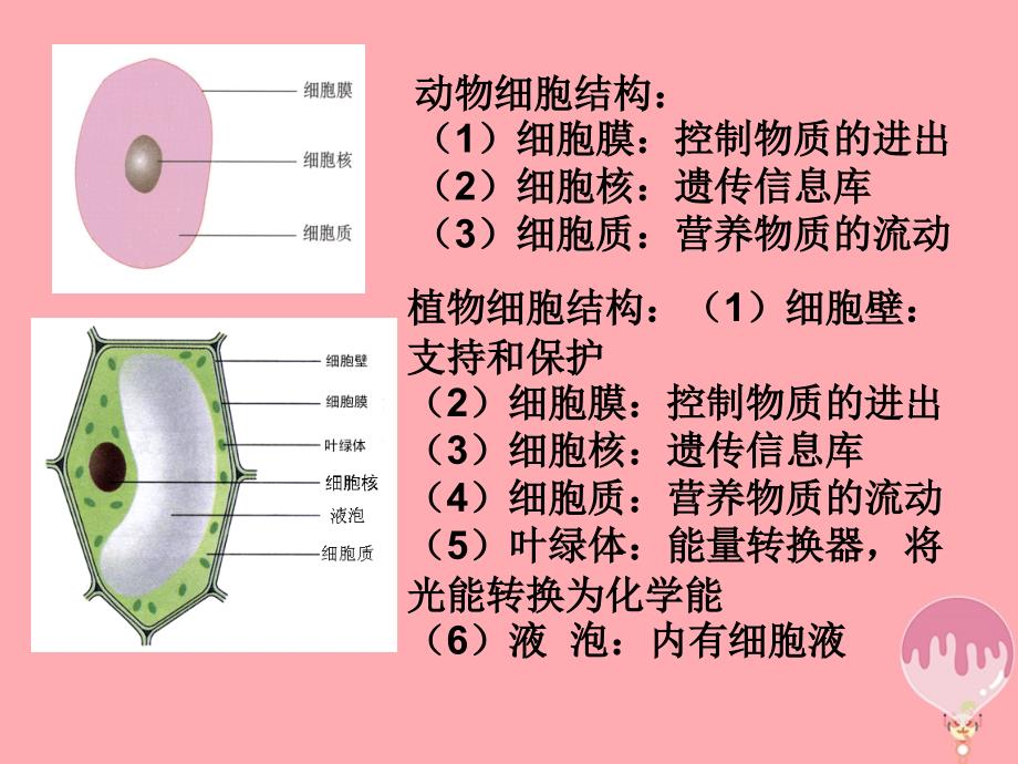 云南孰山彝族自治县高中生物第一章走近细胞1_1从生物圈到细胞3课件新人教版必修1_第2页