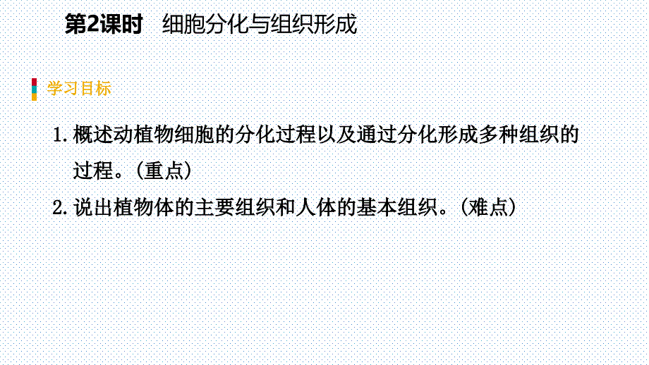 2018秋苏教版七年级生物上册同步导学课件：第三章第三节第2课时 细胞分化与组织形成_第3页