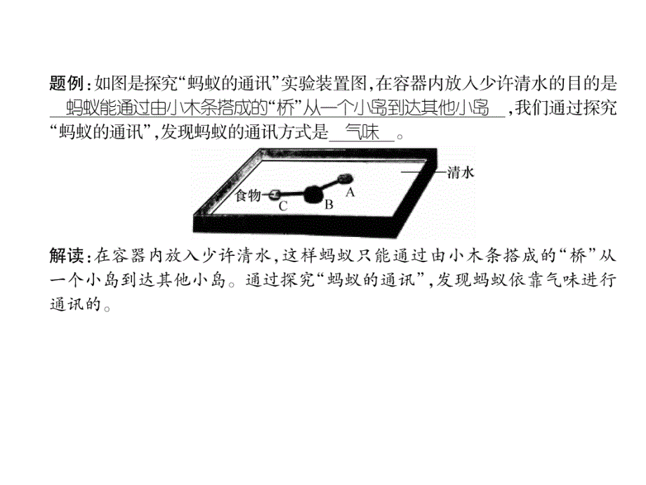 2018秋人教版八级生物上册练习课件：第5单元第2章 第3节  社会行为_第4页