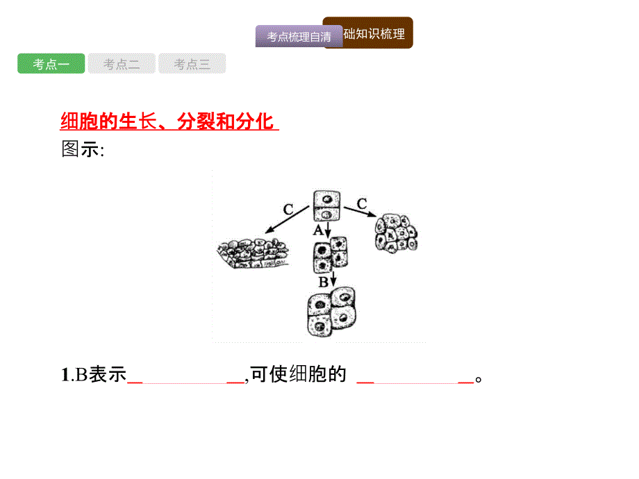 海南省2018年中考生物（课标）复习课件：第一编 知识 方法 固基 4_第2页