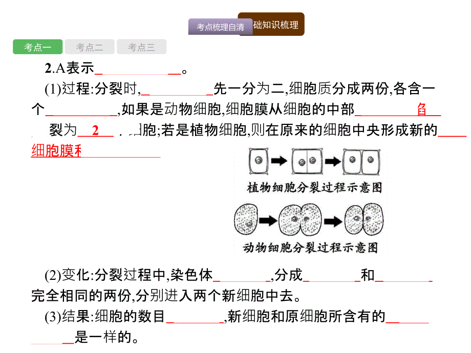 海南省2018年中考生物（课标）复习课件：第一编 知识 方法 固基 4_第3页