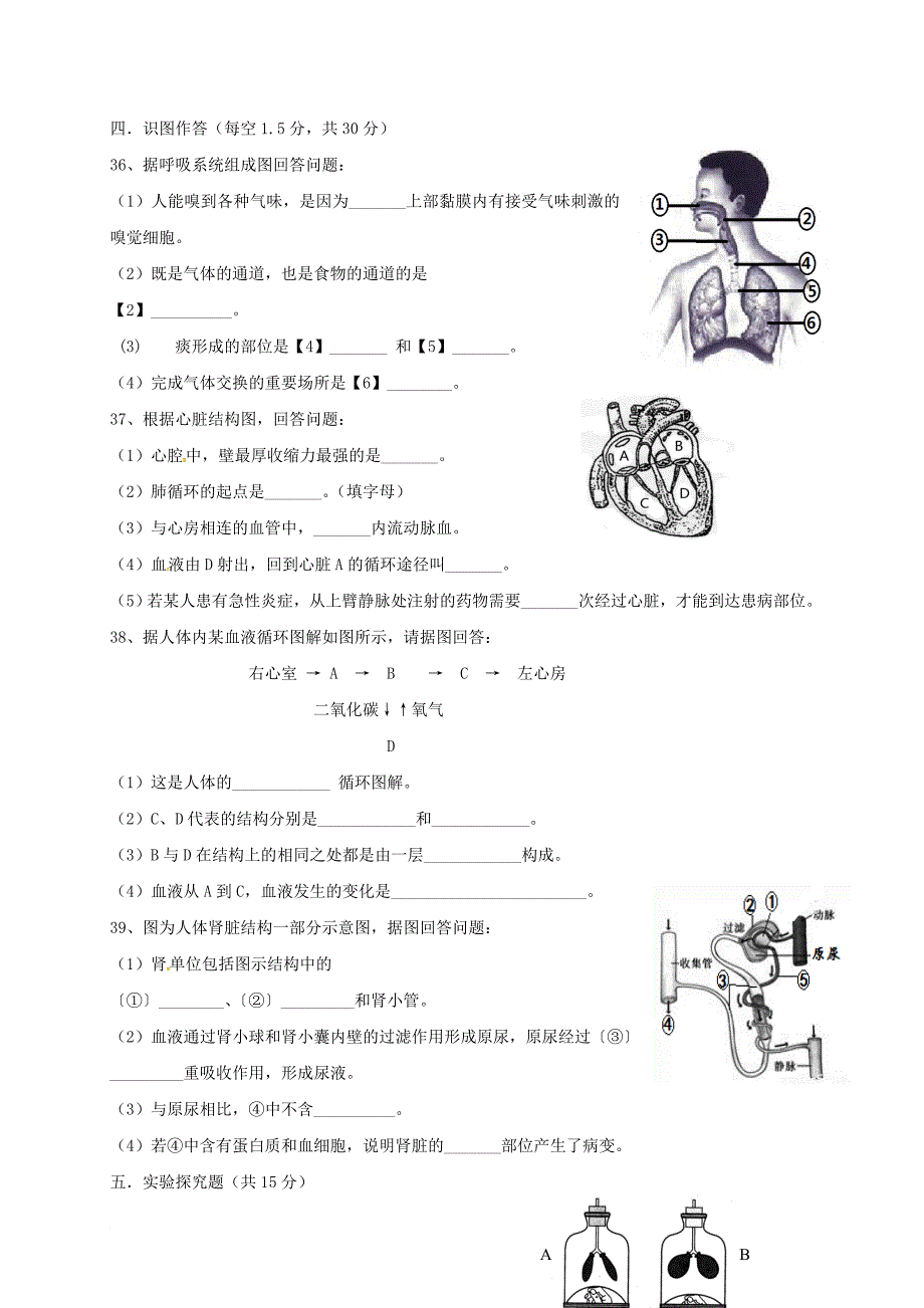 七年级生物上学期期中试题 新人教版五四制_第4页