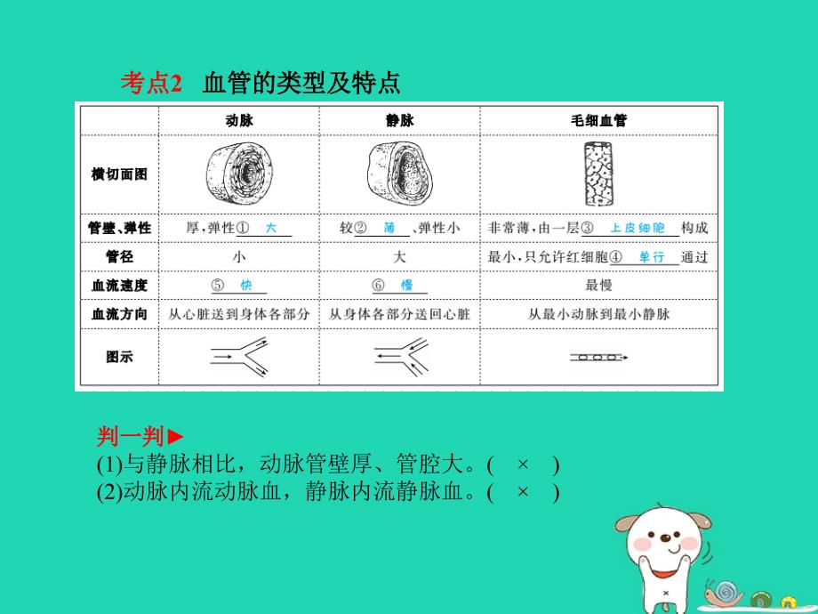 （聊城专版）2018年中考生物 第一部分 系统复习 成绩基石 第4单元 第4章  人体内物质的运输课件_第3页