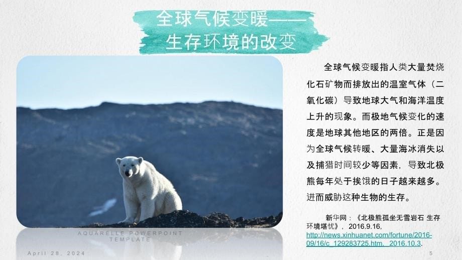 《环境学基础》拓展资料第一部分[北极熊的生存推荐阅读资料_第5页