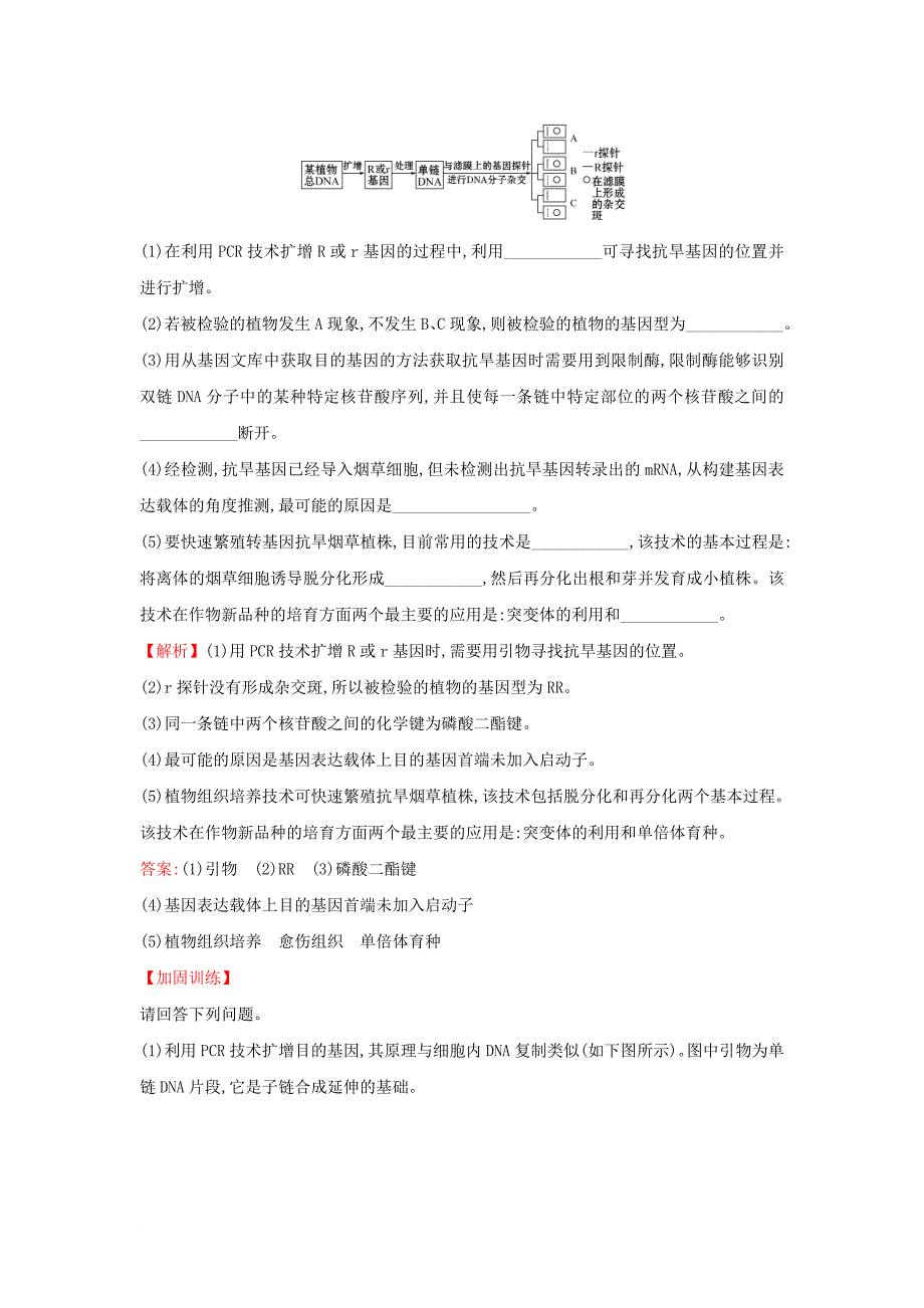 高考热点专项练11 pcr技术 新人教版_第3页