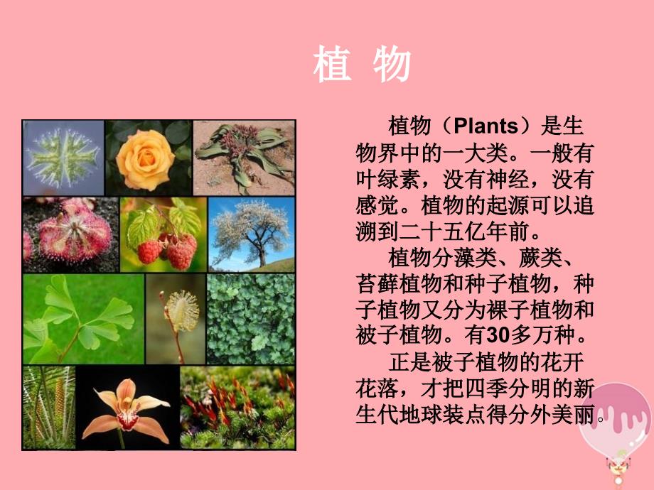三年级科学上册 2_1 身边的植物课件2 湘教版_第3页