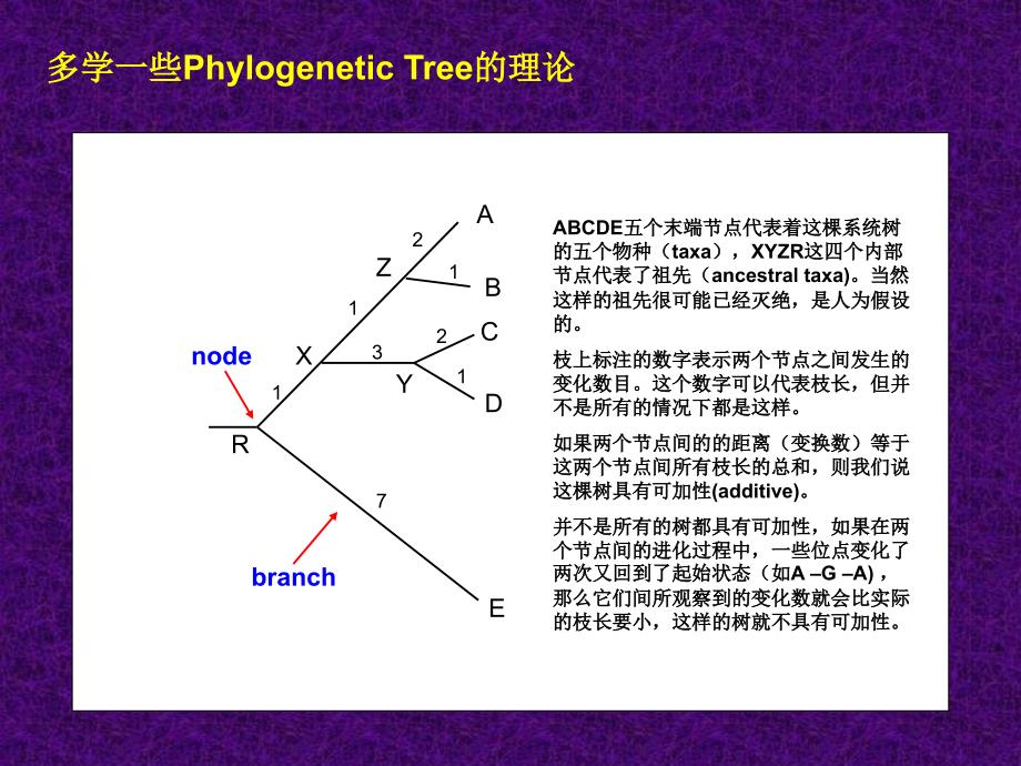 如何建树_第4页