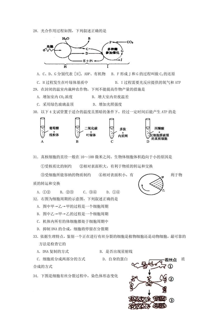 北京市丰台区2017_2018学年高二生物上学期期中试题a卷_第5页