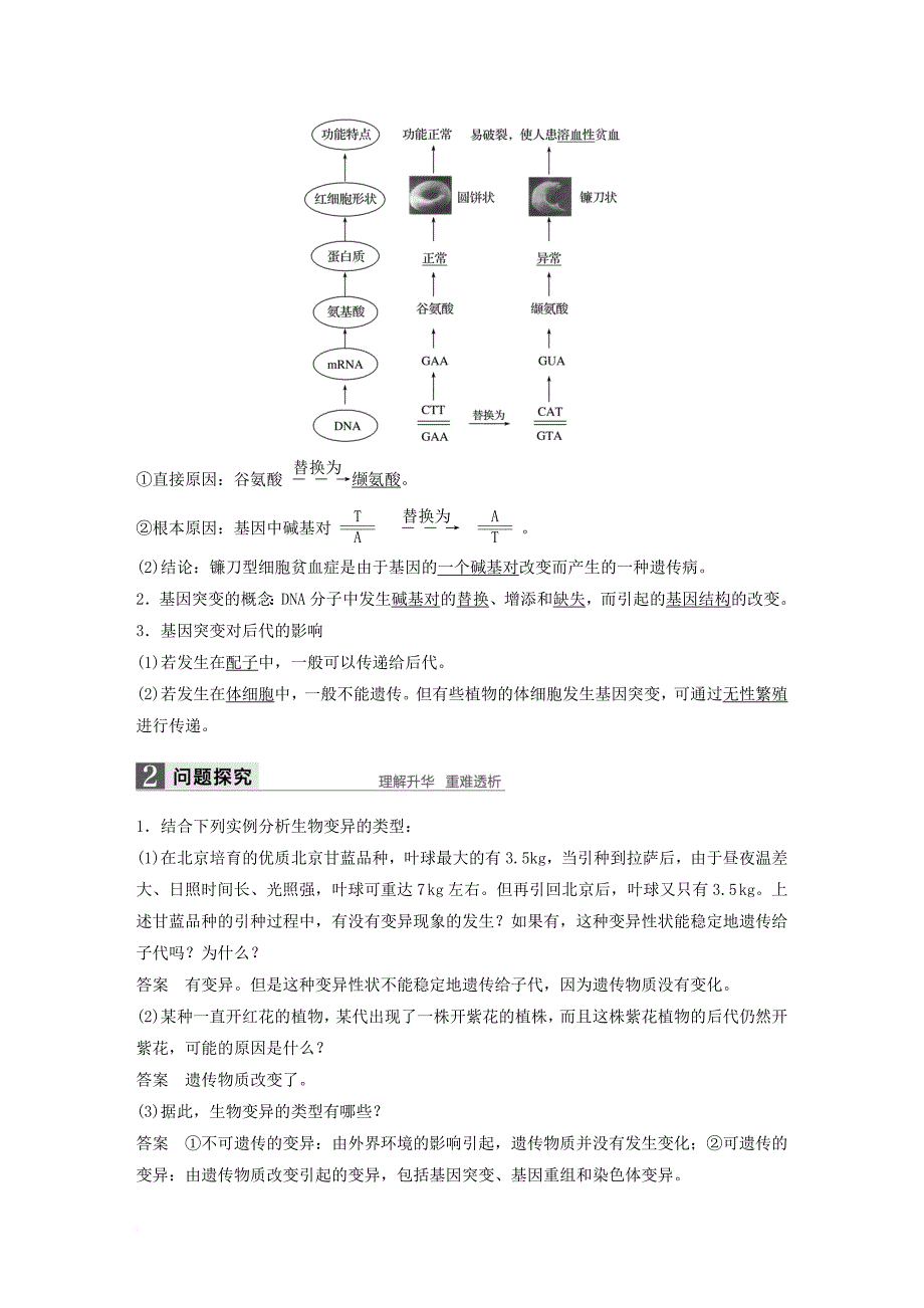 高中生物 第五章 基因突变及其他变异 第1节 基因突变和基因重组教学案 新人教版必修2_第2页