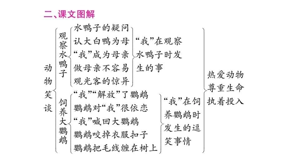 2018年秋人教部编版七年级语文上册课件：17.动物笑谈习题课件_第5页