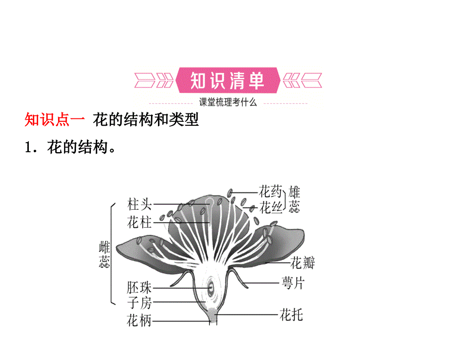 2018中考生物（济宁）复习（课件）：八年级上册 第四单元 第一章_第3页