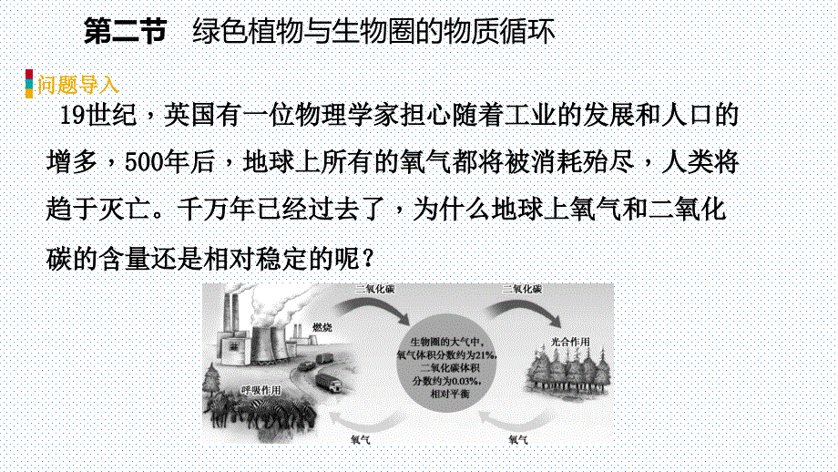 2018秋苏教版七年级生物上册同步导学课件：第七章第二节 绿色植物与生物圈的物质循环_第4页