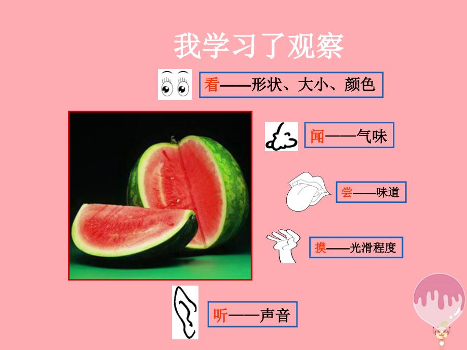 三年级科学上册 7_1 我学习了观察课件1 湘教版_第3页