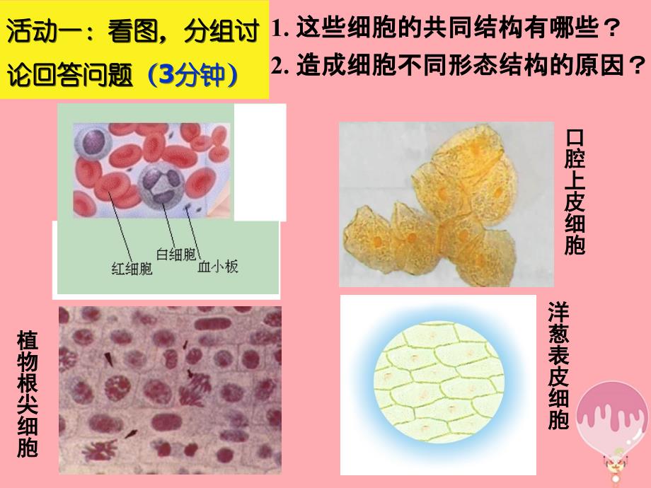 云南孰山彝族自治县高中生物第一章走近细胞1_2细胞的多样性和统一性6课件新人教版必修1_第3页