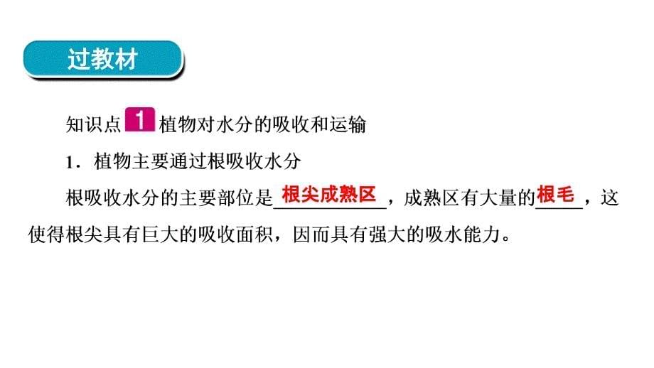 2018年河南省中考生物总复习课件：第1部分 第3单元 第3章_第5页