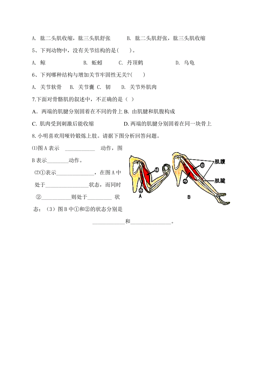 2017-2018学年（人教版）八年级生物上册导学案：5-2-1动物的运动_第3页