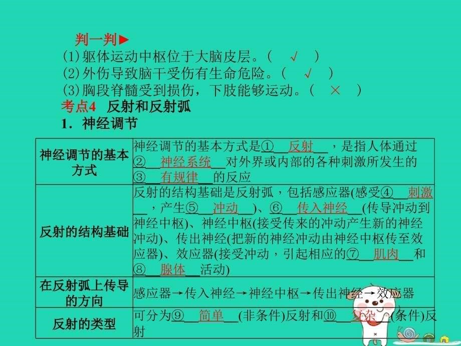 （聊城专版）2018年中考生物 第一部分 系统复习 成绩基石 第4单元 第6、7章 人体生命活动的调节和人类活动对生物圈的影响课件_第5页