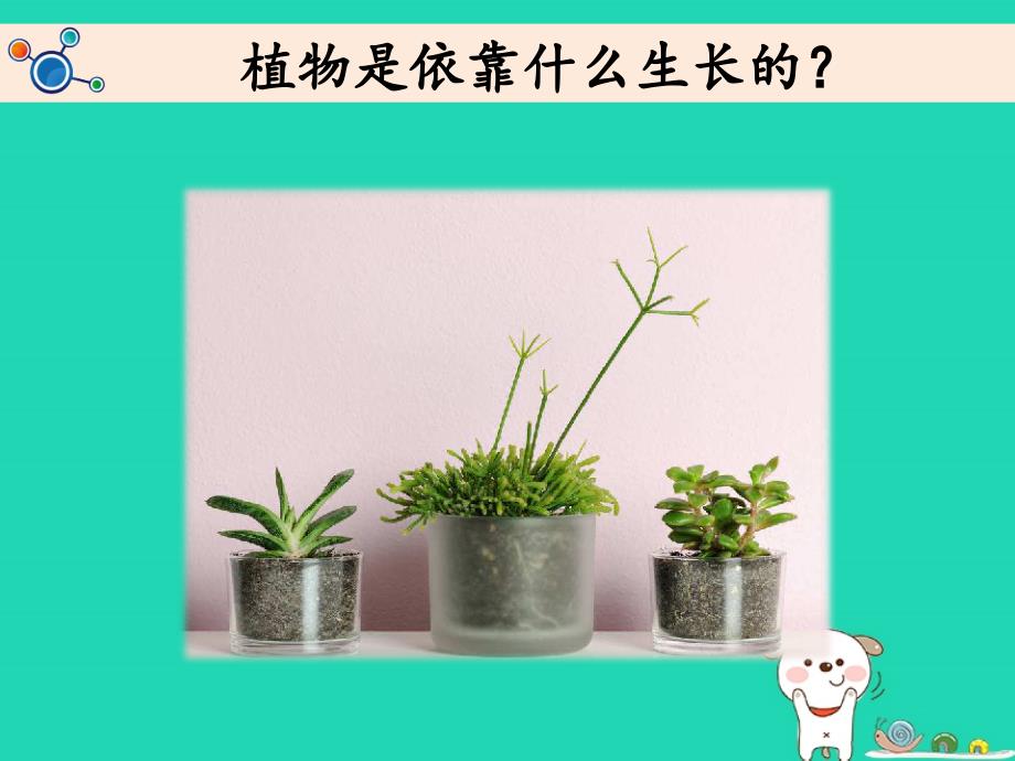 二年级科学上册1.2土壤__动植物的乐园课件教科版_第2页