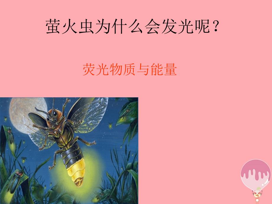 河北省南宫市高中生物第五章细胞的能量供应和利用5_2细胞的能量“通货”_atp1课件新人教版必修1_第2页