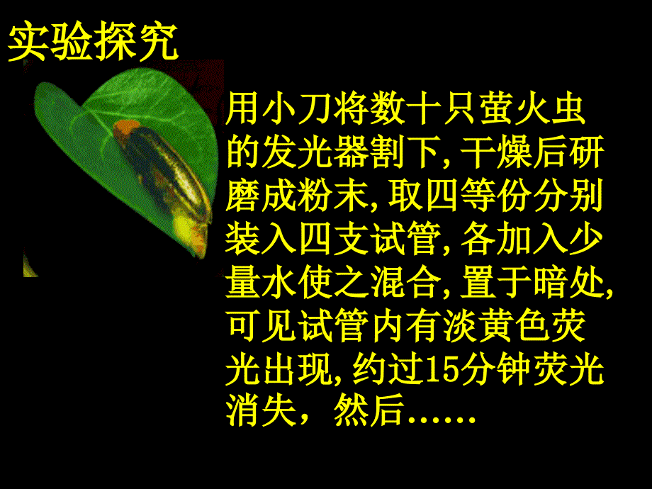 河北省南宫市高中生物第五章细胞的能量供应和利用5_2细胞的能量“通货”_atp1课件新人教版必修1_第4页