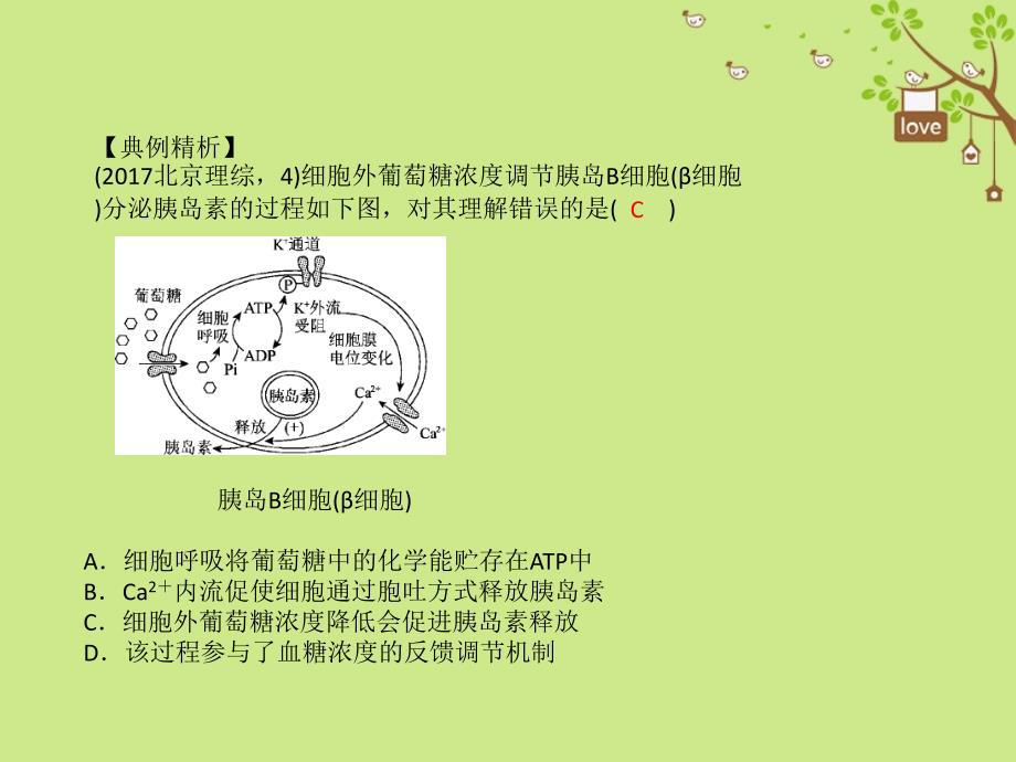 高考生物二轮复习 第三部分 题型突破课件_第4页