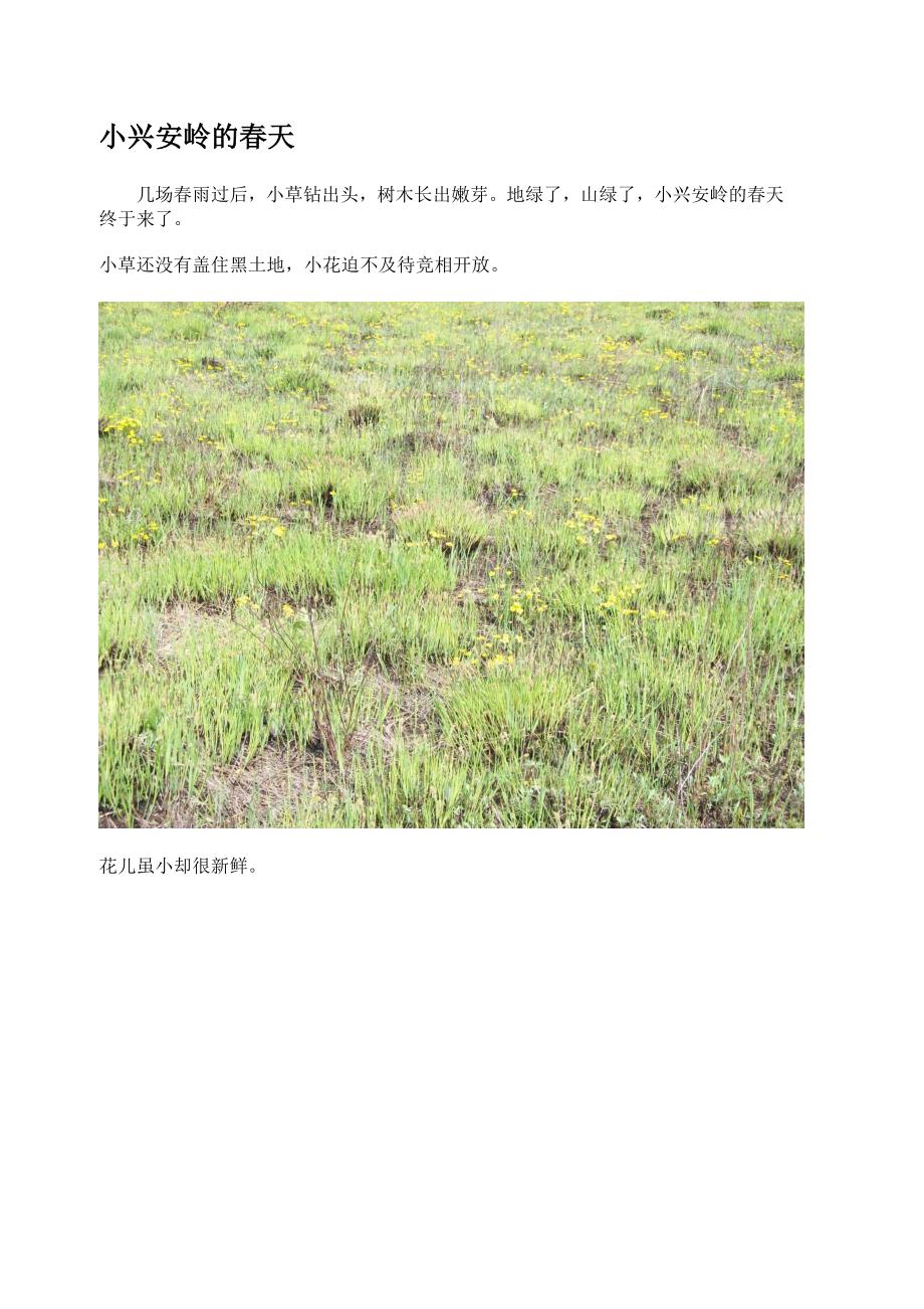 小兴安岭的春夏秋冬_第1页