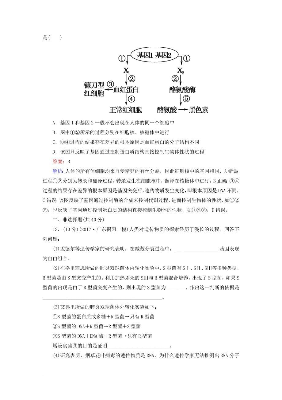 高三生物二轮复习 课时作业7 遗传的分子_第5页