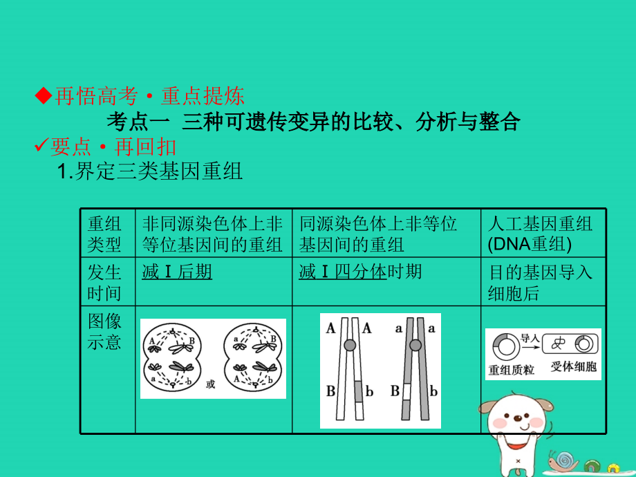 高考生物二轮复习 第三单元 遗传、变异与进化 专题三 生物的变异、育种与进化课件_第3页