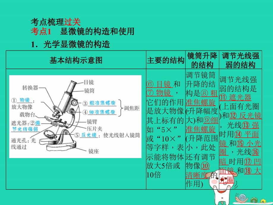 （聊城专版）2018年中考生物 第一部分 系统复习 成绩基石 第二单元 第1章 细胞是生命活动的基本单位课件_第2页